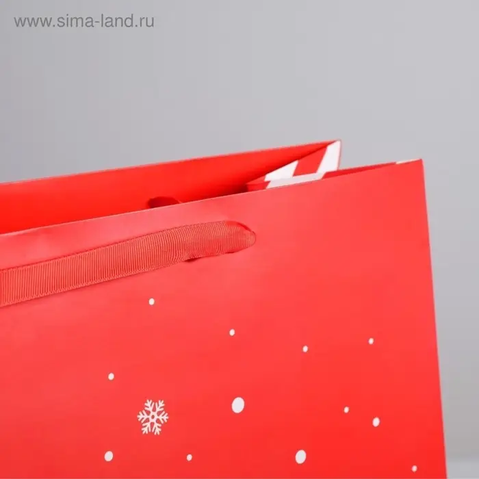 Пакет подарочный новогодний ламинированный &laquo;Подарок от Деда Мороза&raquo;, XL 40&times;49&times;19 см