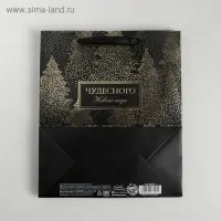Пакет подарочный новогодний ламинированный «Чудесного Нового года», ML 23 х 27 х 11.5 см