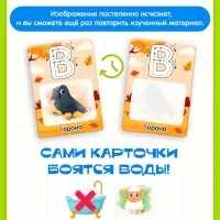 Развивающий набор &laquo;Учим алфавит&raquo;, 3+