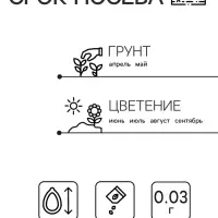 Семена  цветов Немезия "Звездный путь", смесь окрасок, О, 0,03 г