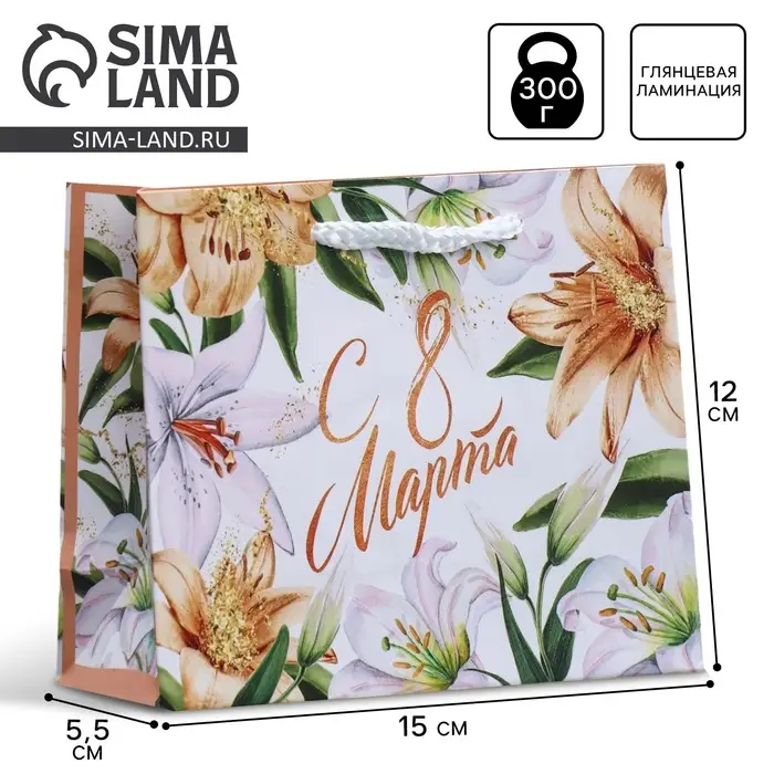 Пакет подарочный ламинированный, упаковка, «8 марта», S 12 х 15 х 5.5 см Пакет подарочный ламинированный, упаковка, «8 марта», S 12 х 15 х 5.5 см