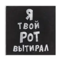 Салфетки бумажные однослойные &laquo;Я твой рот вытирал&raquo;, 24&times;24, 20 шт.