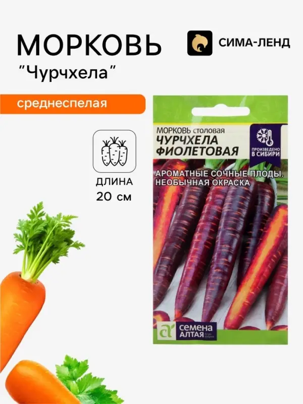 Семена Морковь столовая &laquo;Чурчхела фиолетовая&raquo;, 0.2 г, &laquo;Семена Алтая&raquo;