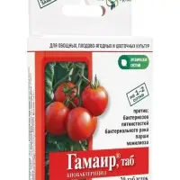 БИО бактерицид &laquo;Гамаир&raquo;, от бактериальных болезней, для томатов и др., таблетки, 20 шт.
