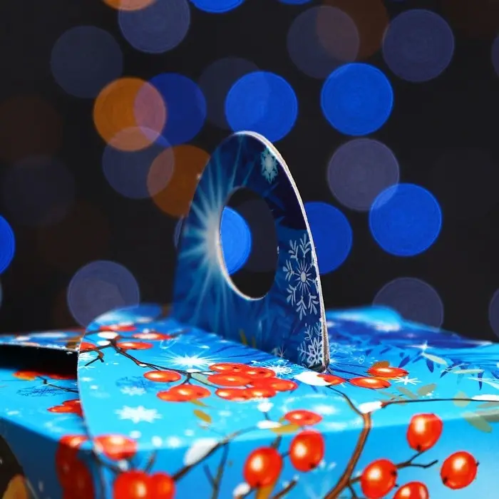 Подарочная новогодняя коробка «Снегири», упаковка, 10×9.2×9.2 см Подарочная новогодняя коробка «Снегири», упаковка, 10×9.2×9.2 см