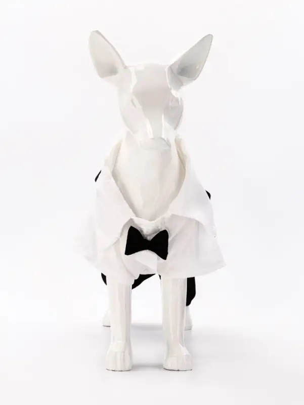 Костюм для животных  Костюм для животных "Джентельмен", размер  2XL (ДС 45, ОГ 55 см)