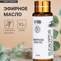 Эфирное масло &laquo;Эвкалипт&raquo;, 10 мл, с пипеткой
