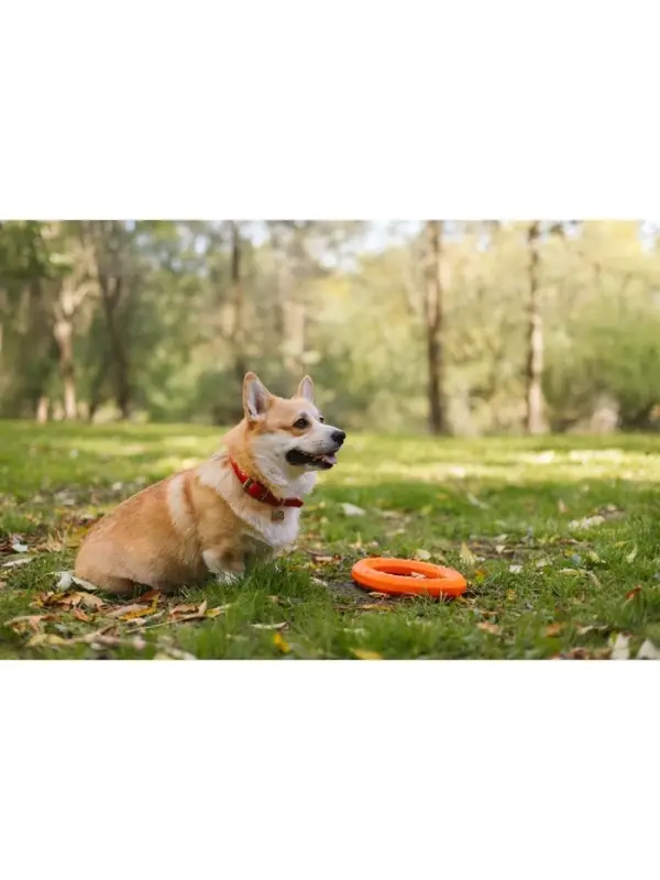 Кольцо &laquo;ДогЛайк&raquo; D-2612, 8-мигранное, среднее ⌀ 28.5 см