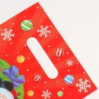 Подарочные пакеты, полиэтилен, набор 10 шт «С Новым годом» Подарочные пакеты, полиэтилен, набор 10 шт «С Новым годом»