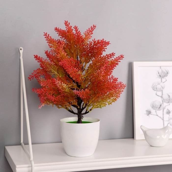 Бонсай в горшке Бонсай в горшке "Кипарисовик" 9х30 см, микс