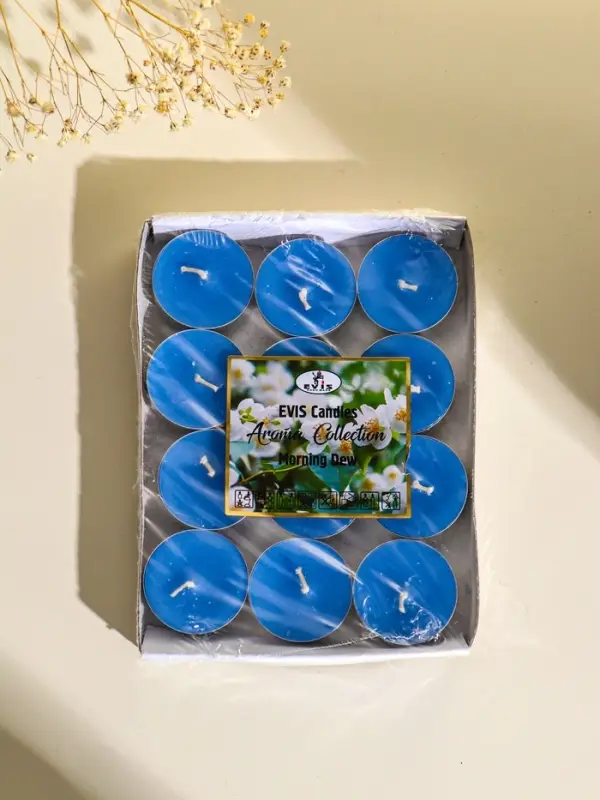 Набор ароматических чайных свечей 12 шт, d 37 мм, 15 гр, 4 часа горения, утренняя роса Набор ароматических чайных свечей 12 шт, d 37 мм, 15 гр, 4 часа горения, утренняя роса