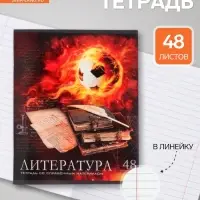 Предметная тетрадь по литературе Calligrata &laquo;Футбол&raquo;, 48 листов, в линейку, со справочным материалом, обложка из мелованного картона