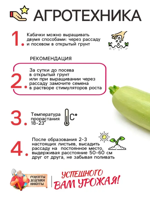 Семена Кабачок  Семена Кабачок "Белоплодные", 1 г