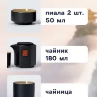 Набор для чайной церемонии ДЖЕКИЧАЙ &laquo;Асахи&raquo;, 4 предмета, на 2 персоны, чашка 50 мл, чайник 180 мл, керамика, чёрный