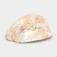 Чаша из кокоса, 18&times;18&times;10 см, бежево-золотая