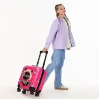 Чемодан детский 28 л (S), отдел на молнии, 4 колеса, розовый