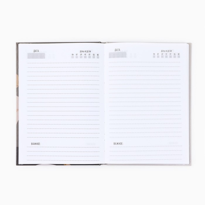 Ежедневник А5, 80 л, твердая обложка «Учителю: Для великих идей»