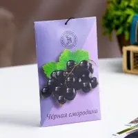 Аромасаше "Чёрная смородина", 10 г, "Богатство Аромата"