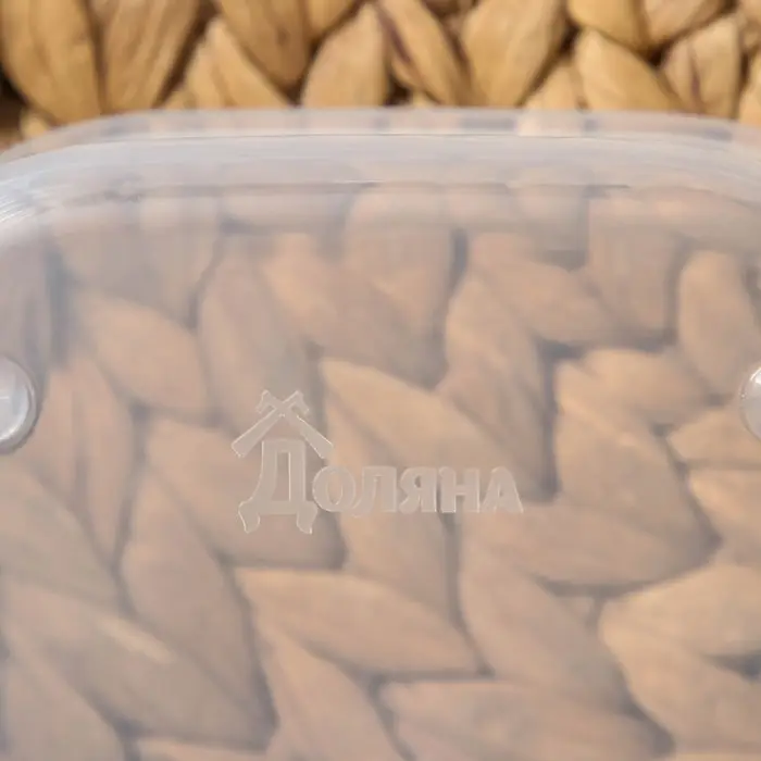 Контейнер квадратный Доляна, пищевой, 700 мл, цвет цвет бирюзовый Контейнер квадратный Доляна, пищевой, 700 мл, цвет цвет бирюзовый