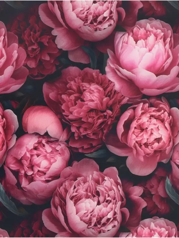 Бумага упаковочная, глянцевая &laquo;Пионы&raquo; 60&times;90 см