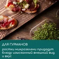 Коврик джутовый для выращивания микрозелени, 10&times;15 см, толщина 1 см, набор 5 шт.