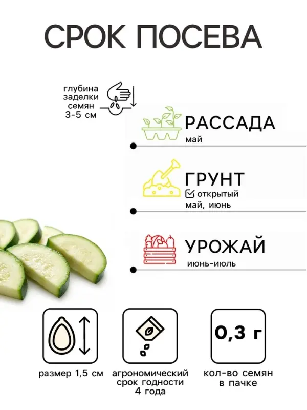 Набор семян Кабачок &laquo;Апельсинка&raquo;, F1, 5 шт., &laquo;Мой выбор&raquo;