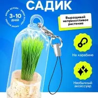 Набор для опыта &laquo;Живой брелок&raquo;, мини-сад, выращивание травы