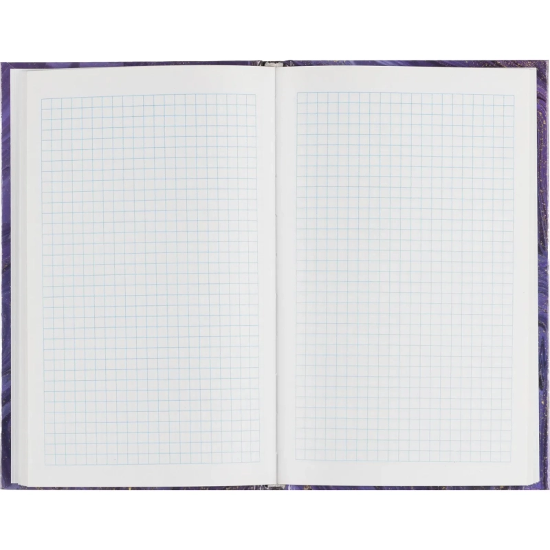 Бизнес-тетрадь А5,96л,7БЦ,клетка Attache Selection фиол