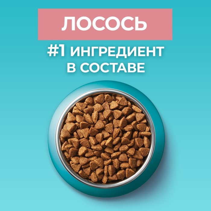 Сухой корм Purinа One для стерилизованных кошек, лосось/пшеница, 750 г Сухой корм Purinа One для стерилизованных кошек, лосось/пшеница, 750 г