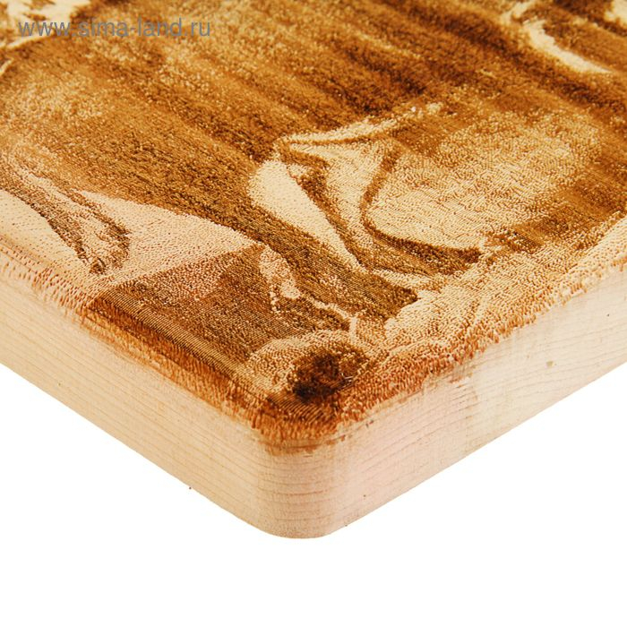 Доска из массива кедра «Олень», прямоугольная, 18 × 28 см Доска из массива кедра «Олень», прямоугольная, 18 × 28 см