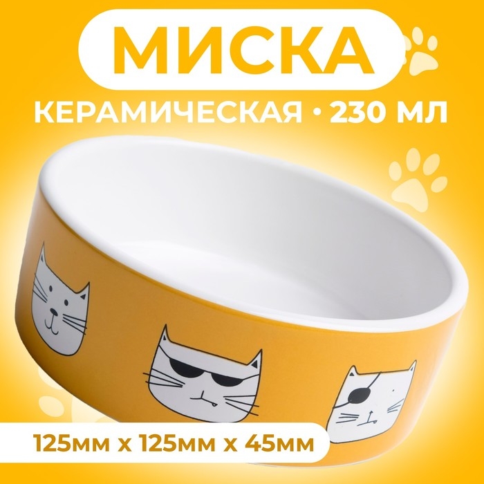 Миска керамическая  Миска керамическая "Опасные коты" 230 мл  12,5 x 4,5 cм, бело-оранжевая