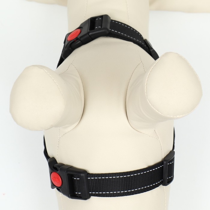 Шлейка К7 мягкая светоотражающая, размер XS, ОГ 34-44 см, вес 2,5-5 кг, чёрная Шлейка К7 мягкая светоотражающая, размер XS, ОГ 34-44 см, вес 2,5-5 кг, чёрная