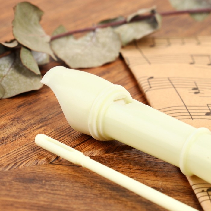 Блокфлейта Music Life, бежевая, немецкая система, сопрано, 30 см Блокфлейта Music Life, бежевая, немецкая система, сопрано, 30 см