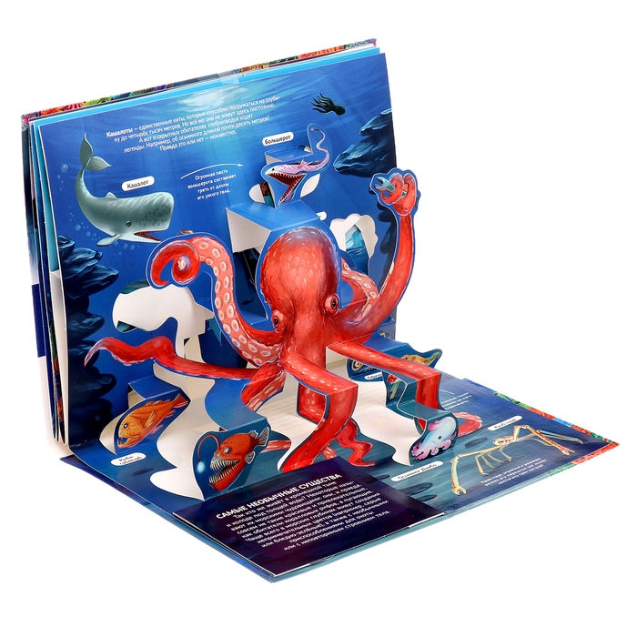 Энциклопедия-панорамка POP UP «Море» Энциклопедия-панорамка POP UP «Море»