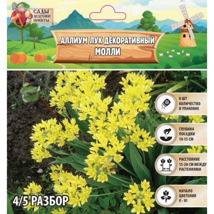 Аллиум лук декоративный Молли, р-р 4/5, 8 шт, Осень 2024 Аллиум лук декоративный Молли, р-р 4/5, 8 шт, Осень 2024