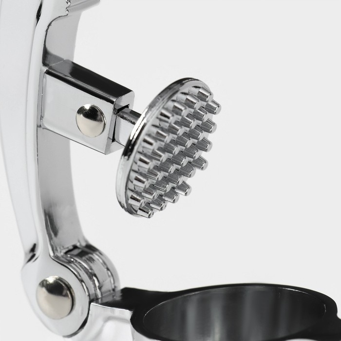 Пресс для чеснока Доляна «Велес», 16,5 см, цвет МИКС Пресс для чеснока Доляна «Велес», 16,5 см, цвет МИКС