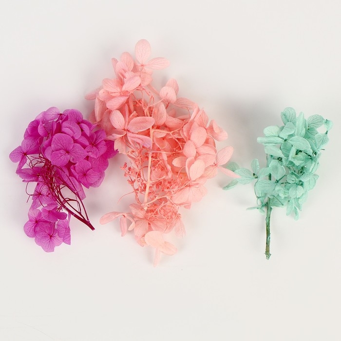 Набор сухоцветов «Гортензия» Набор сухоцветов «Гортензия»