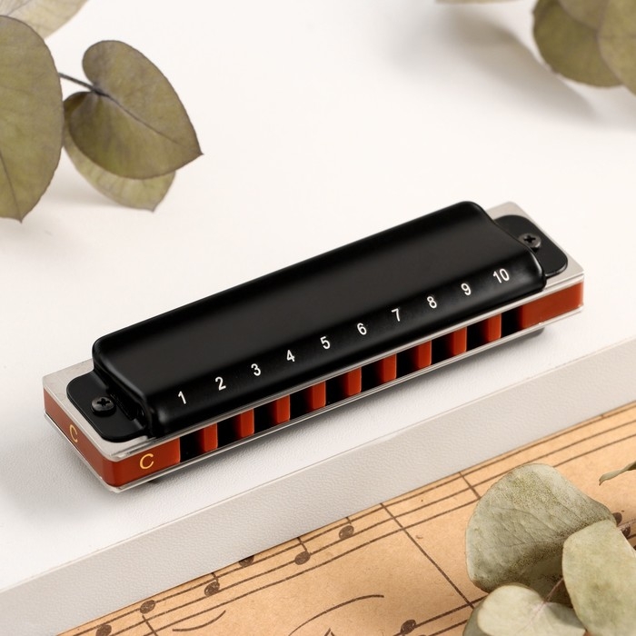 Губная гармошка Music Life T008L  C диатоническая, 10 отверстий, с футляром Губная гармошка Music Life T008L  C диатоническая, 10 отверстий, с футляром