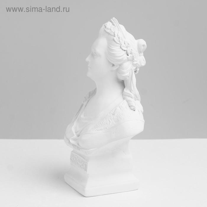 Гипсовая фигура известные люди: Бюст Екатерины II, 13.5 x 8.5 x 21 см Гипсовая фигура известные люди: Бюст Екатерины II, 13.5 x 8.5 x 21 см