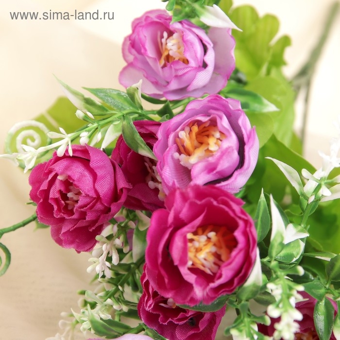 Букет Букет "Брасика" завитки, 3х25 см, микс