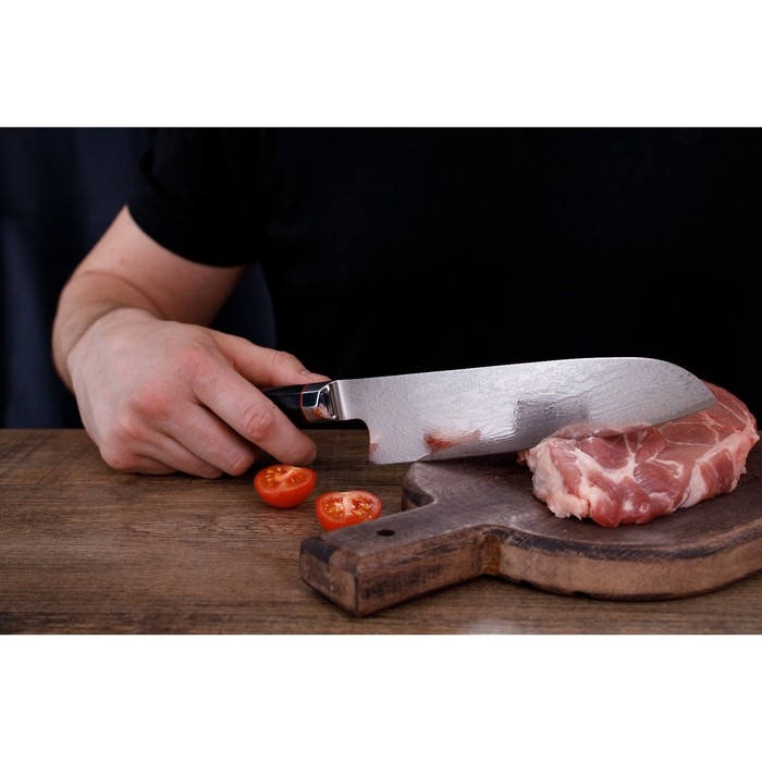 Нож сантоку Magistro «Ортего», длина лезвия 18 см, дамасская сталь AUS-10 Нож сантоку Magistro «Ортего», длина лезвия 18 см, дамасская сталь AUS-10