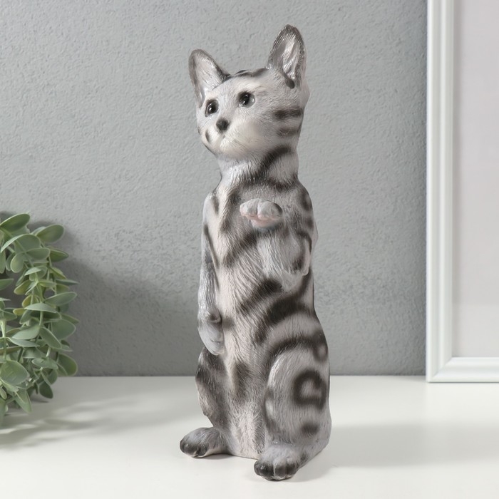 Копилка Копилка "Котенок Том" 27 х 10 х 10 см.