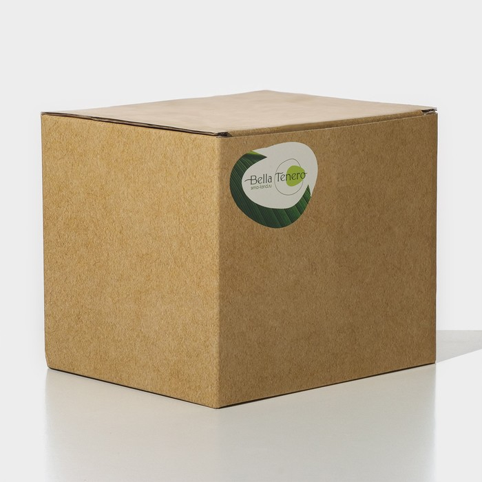 Чайник стеклянный заварочный с бамбуковой крышкой и металлическим фильтром «Эко. Бабл», 800 мл, 18×13,5×12,5 см Чайник стеклянный заварочный с бамбуковой крышкой и металлическим фильтром «Эко. Бабл», 800 мл, 18×13,5×12,5 см