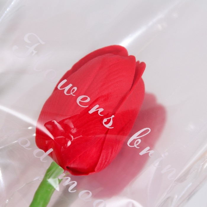 Мыльный тюльпан, красный Мыльный тюльпан, красный