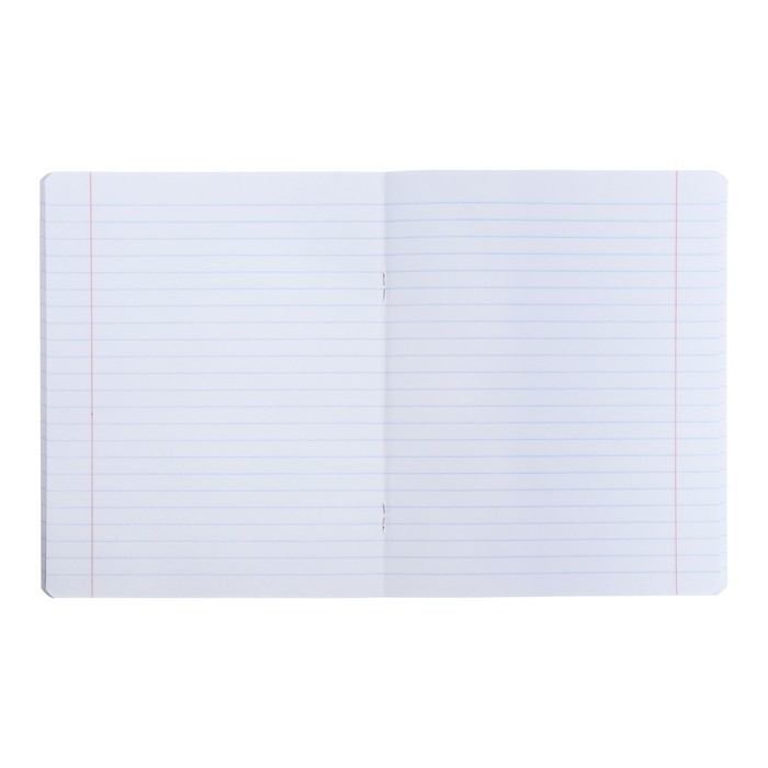 Тетрадь предметная "Яркая цветная", 48 листов в линию "Литература", обложка мелованный картон, выборочный лак, со справочным материалом