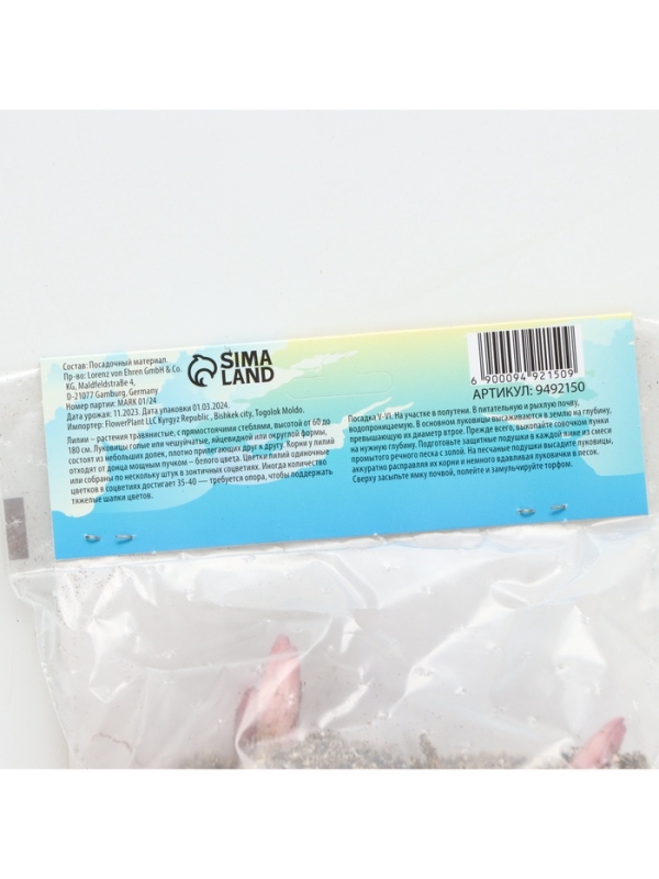 Лилия Восточная Pink News, луковица в пакете с перфорацией, р-р 12/14, 3 шт.