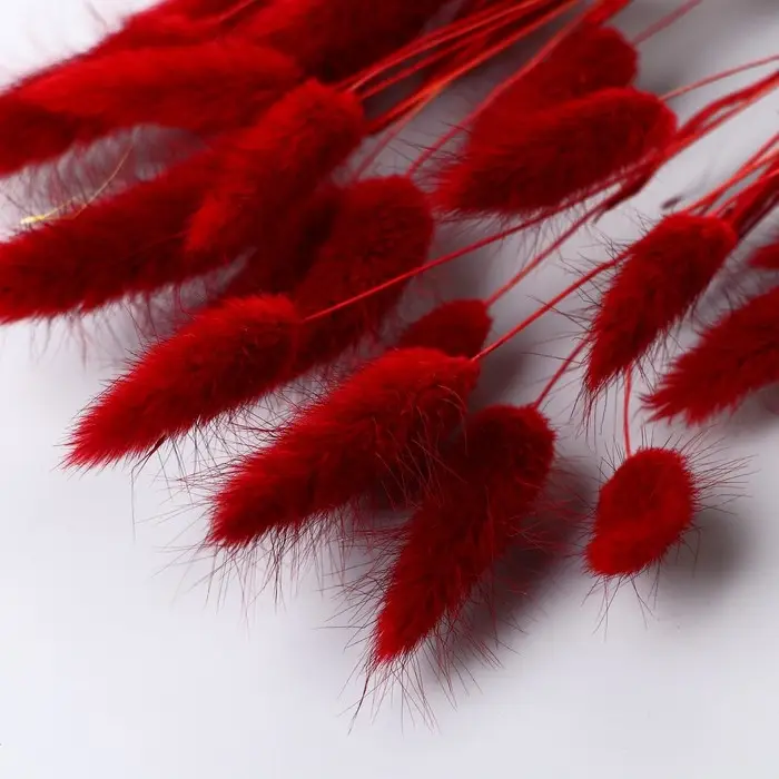 Сухоцветы «Лагурус», h=65 см, (фасовка 30 шт., цена за 1 шт.), красные Сухоцветы «Лагурус», h=65 см, (фасовка 30 шт., цена за 1 шт.), красные