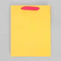 Пакет подарочный трёхцветный, упаковка, &laquo;Жёлтый-розовый-голубой&raquo;, MS 18 х 23 х 10 см