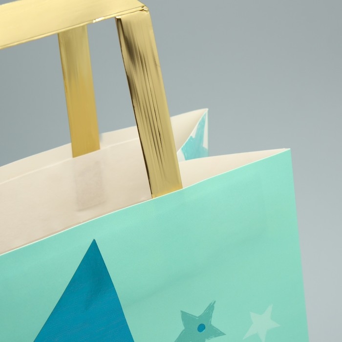 Упаковка, пакет подарочный, «Сияй», ML 23 х 27 х 11.5 см Упаковка, пакет подарочный, «Сияй», ML 23 х 27 х 11.5 см