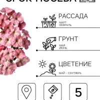 Семена цветов Петуния &laquo;Шейк&raquo; строберри, F1, 5 шт., Hem Genetics, &laquo;АЭЛИТА&raquo;